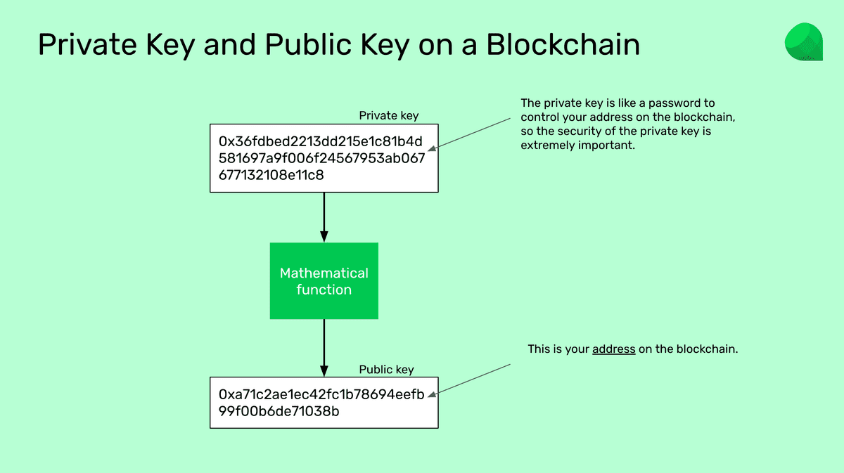 The public key is your address on a blockchain.