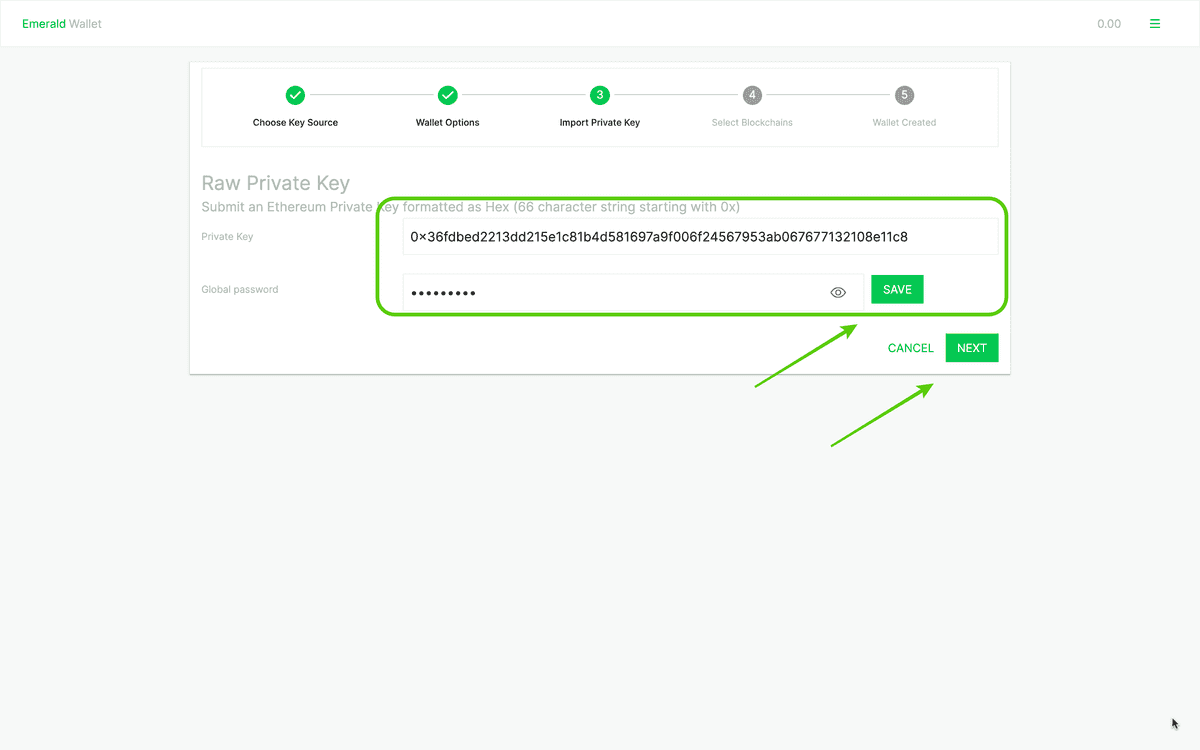Enter raw private key and password.